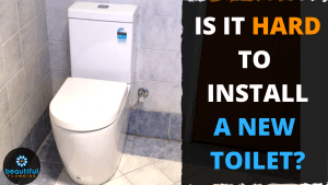 clean flush TOILET