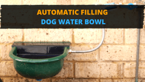 Automatic Water bowl