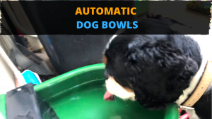 AUTOMATIC DOG BOWLS